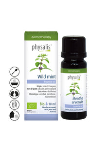 Био етерично масло от Дива мента 10мл - Physalis, ментол, свежест, дихателни пътища, концентрация, Индия